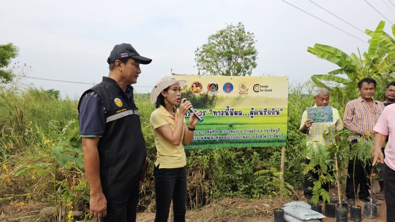 รูปแนบ