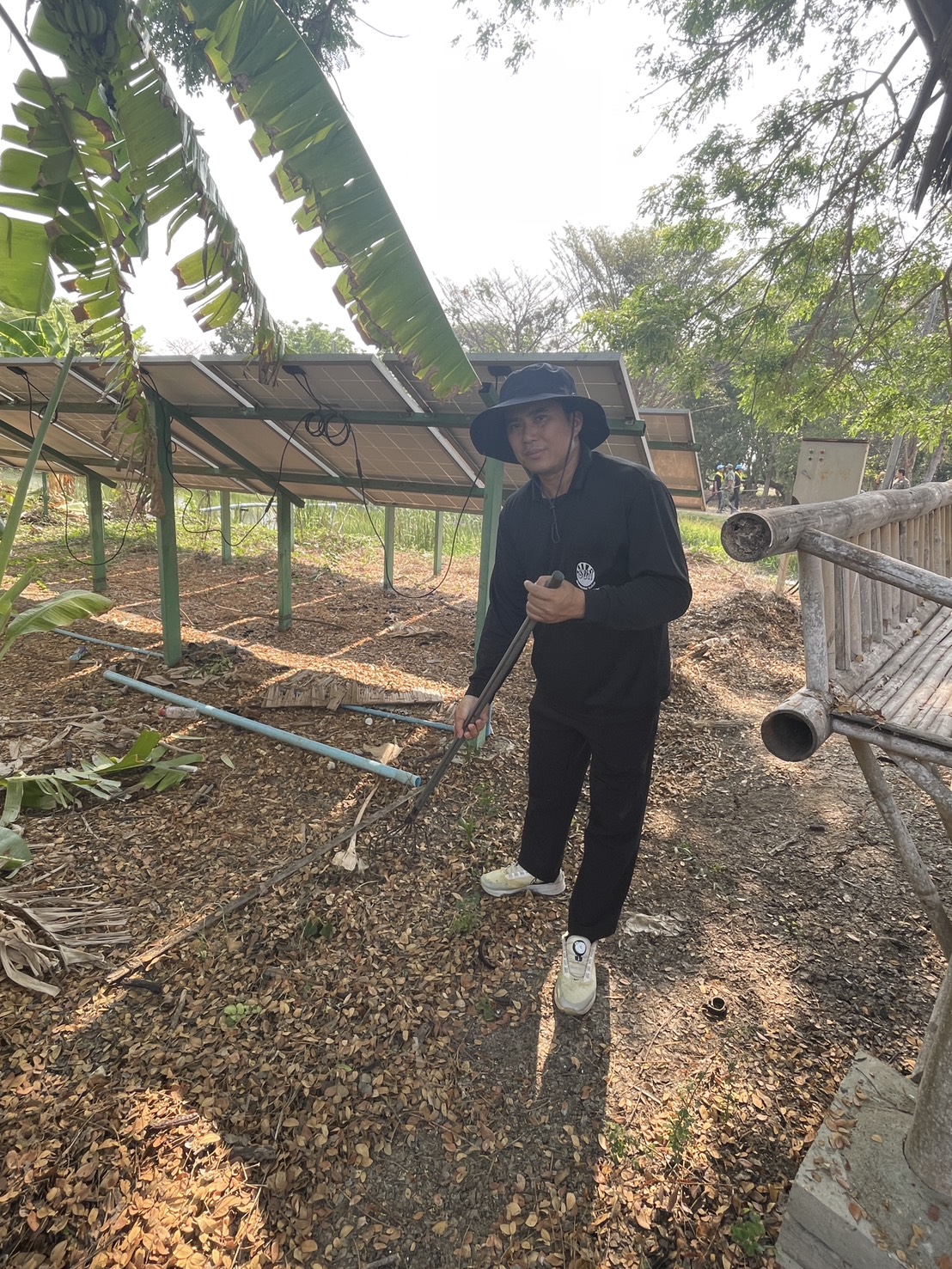 รูปแนบ
